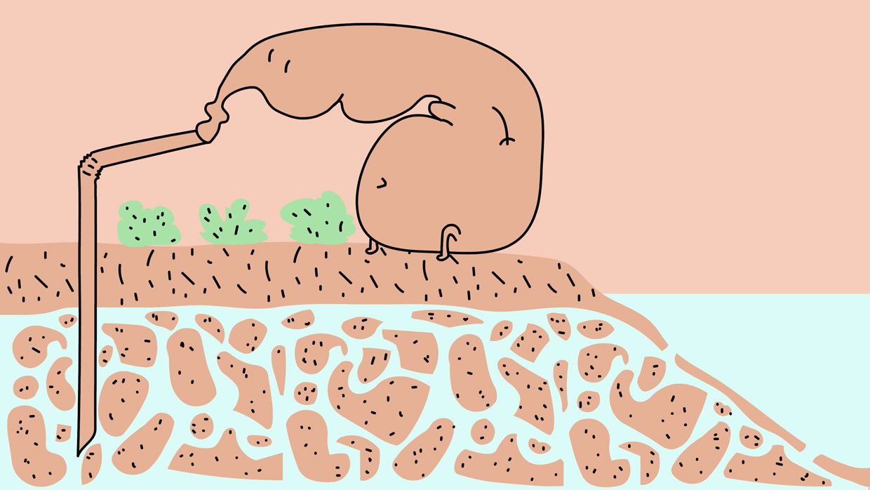 Water Cycle — game