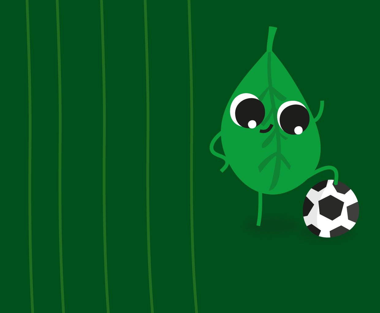 Petit Zebre, baby products