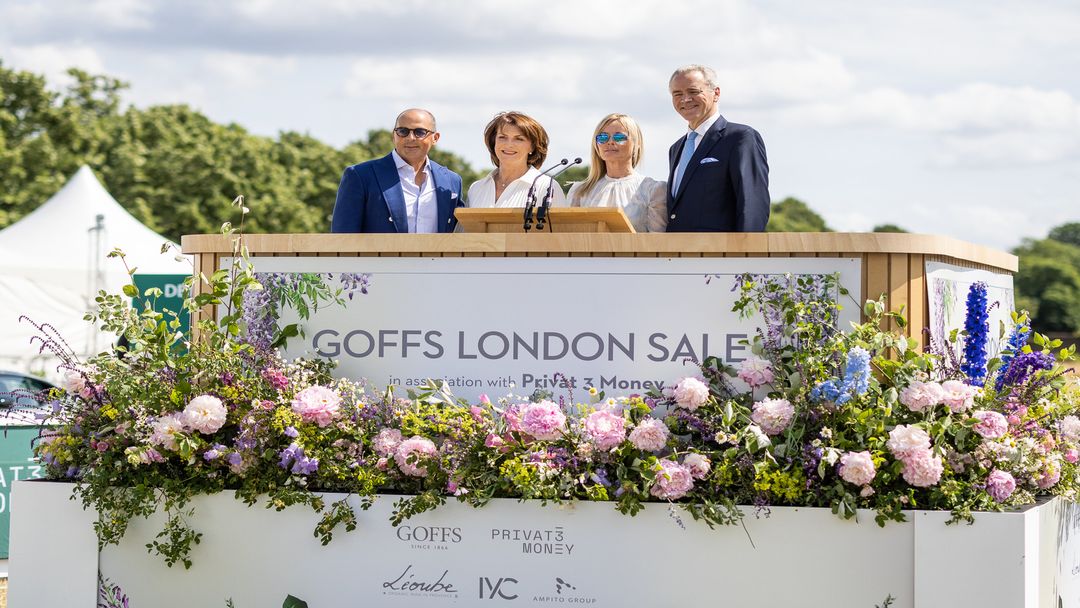 IYC Renews Partnership With Goffs London Sale For 2024 IYC