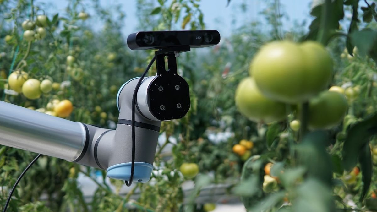 Revolutionize precision agriculture with edge AI