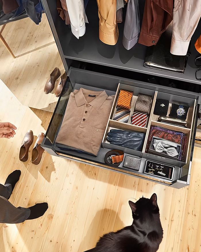 Magnetic drawer dividers from BLUM's Ambia Line at Mebel Arts for organized accessory storage.