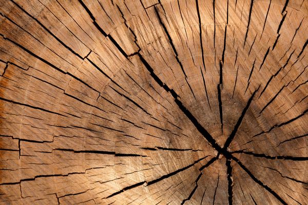 100% βιώσιμη ξυλεία
